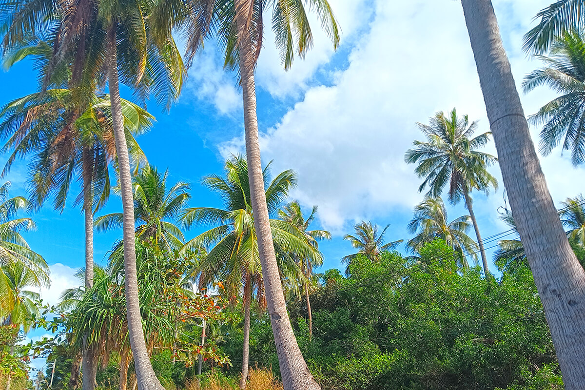 Koh Jum & Koh Pu Krabi