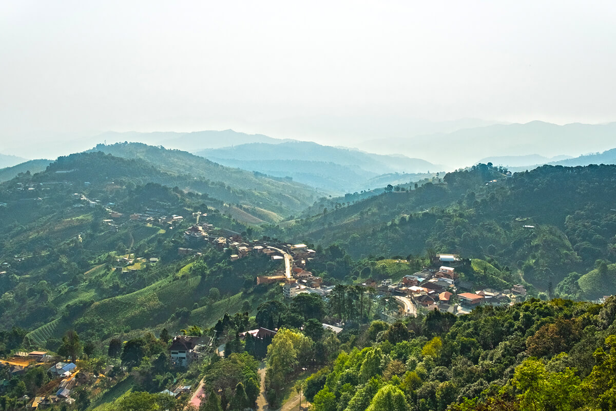 Doi Mae Salong