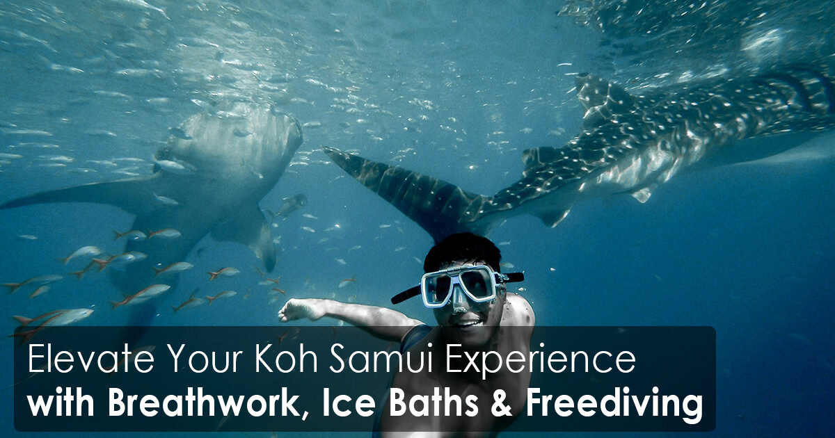 Elevate Your Koh Samui Experience with Breathwork, Ice Baths and Freediving